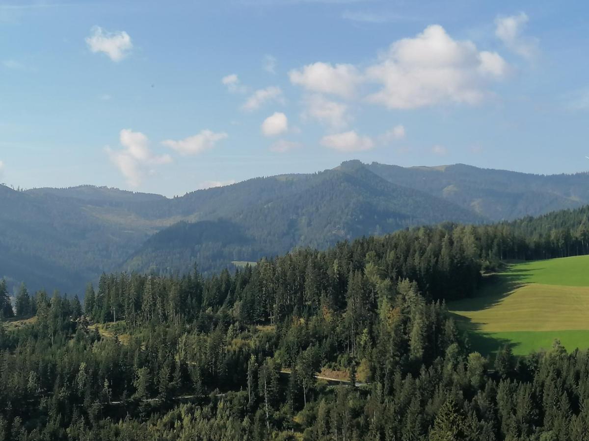 Ferienhaus Stubalpenblick Villa Salla Bagian luar foto
